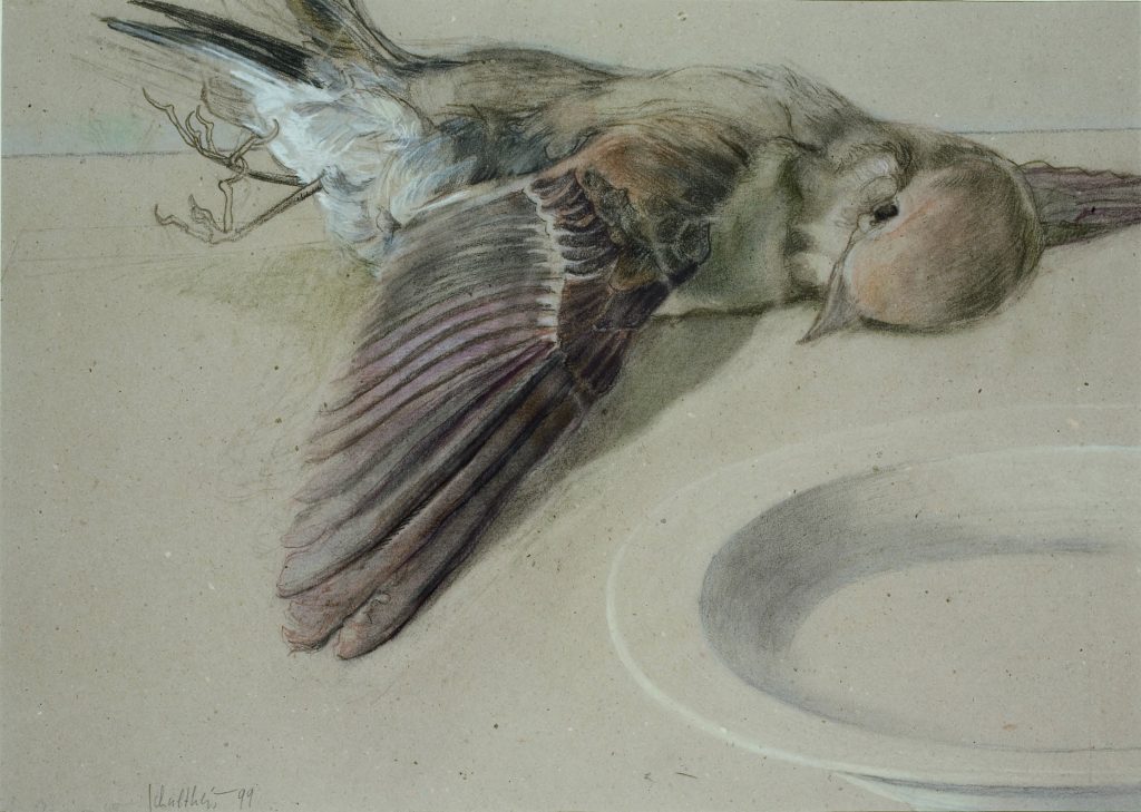 Bild Volker Schultheis | Toter Spatz