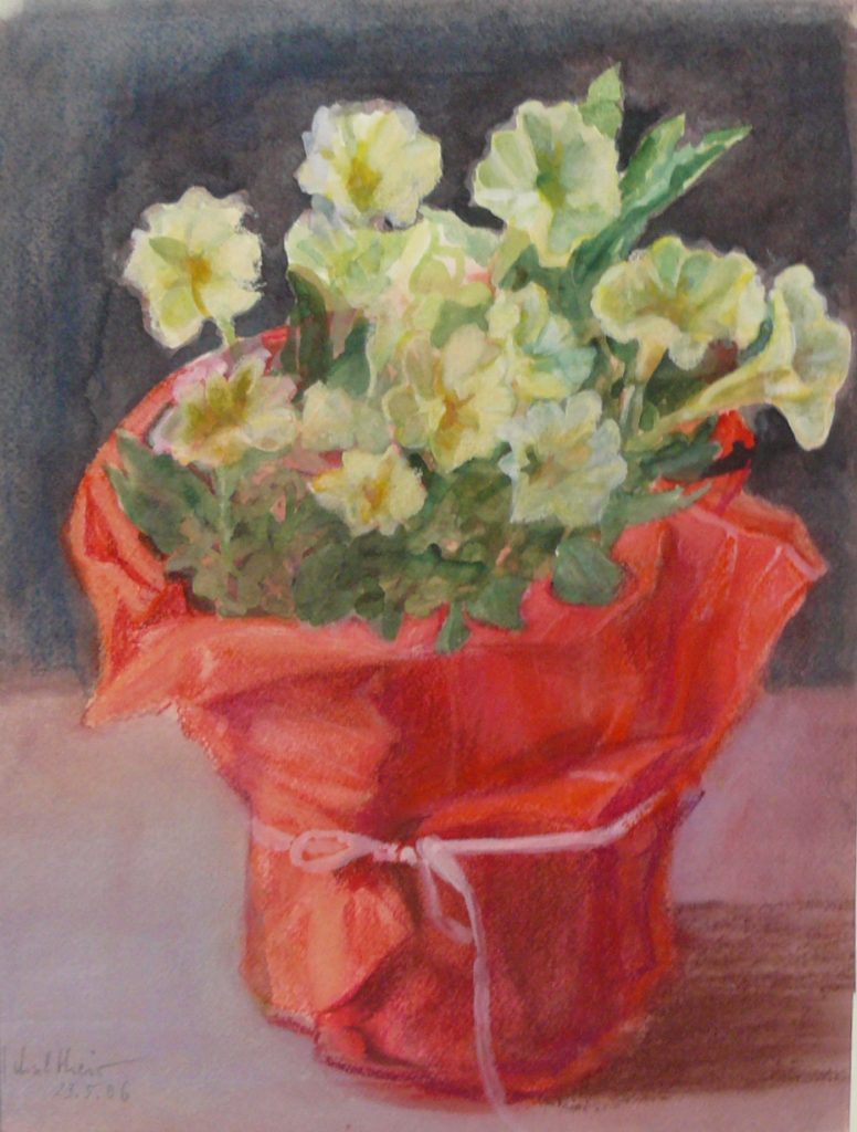 Bild Volker Schultheis | Primeln