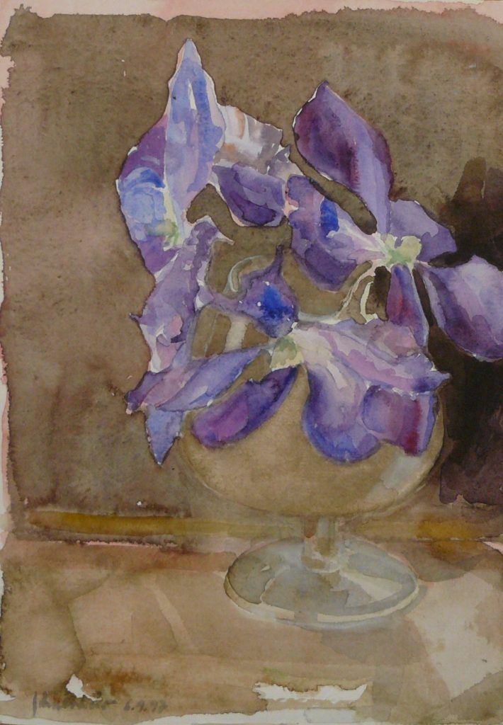 Bild Volker Schultheis | Betunienblüte