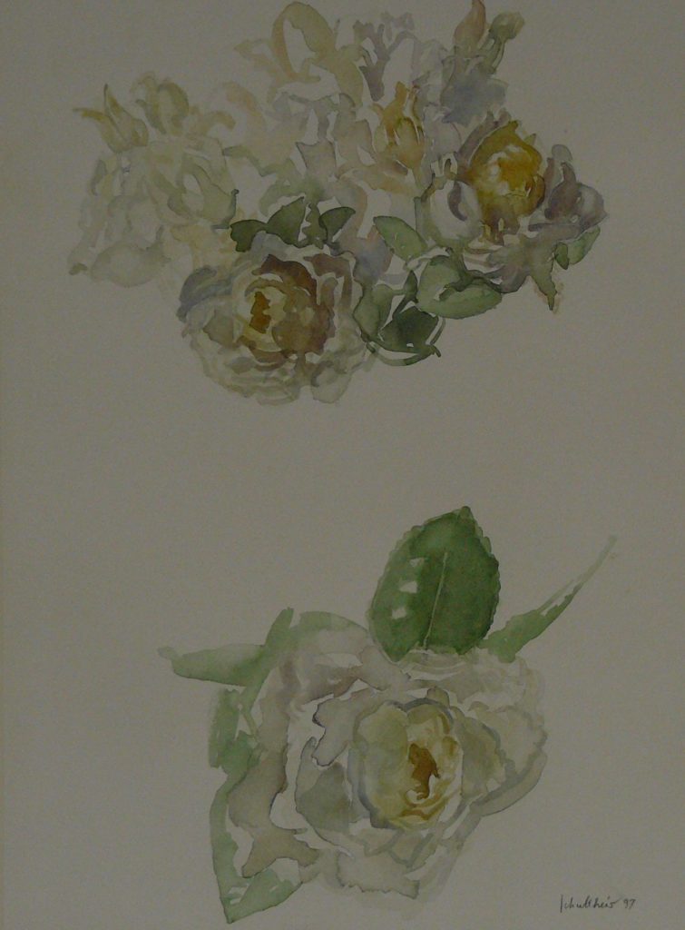 Bild Volker Schultheis | Rosen