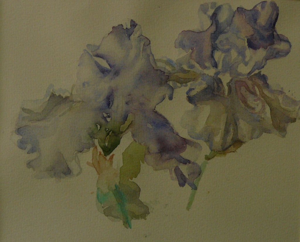 Bild Volker Schultheis | Iris