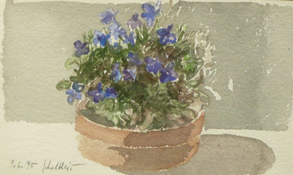 Bild Volker Schultheis | Lobelien