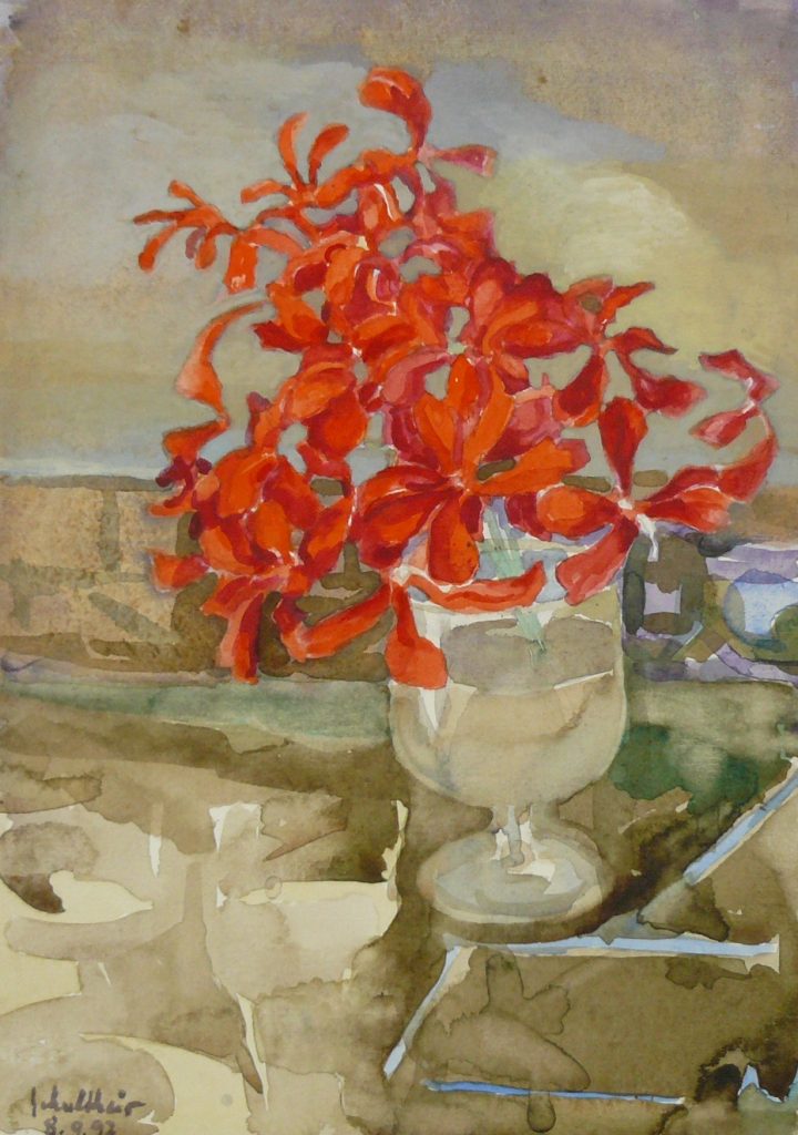 Bild Volker Schultheis | Geranie