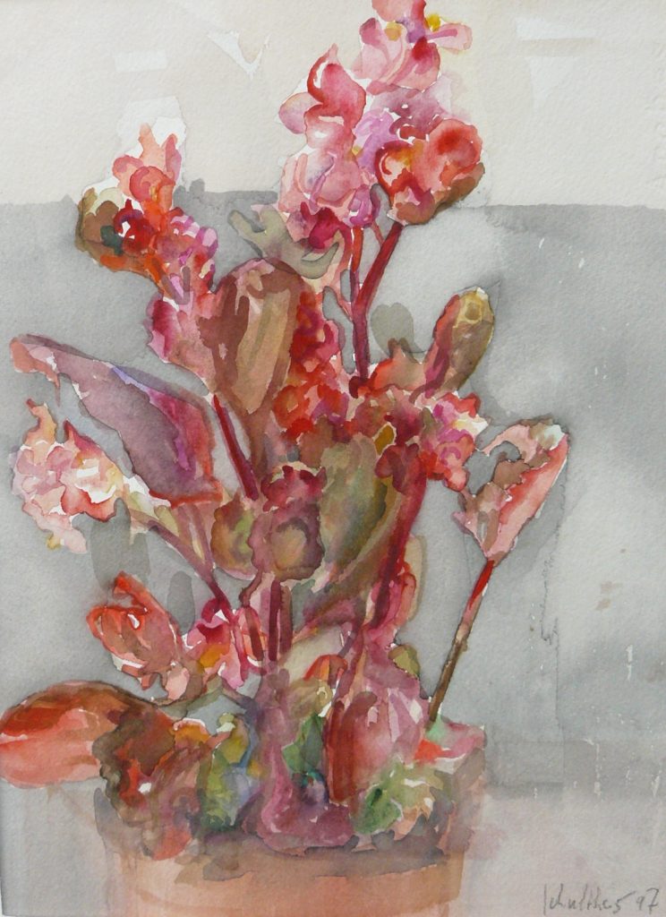 Bild Volker Schultheis | Topfblume