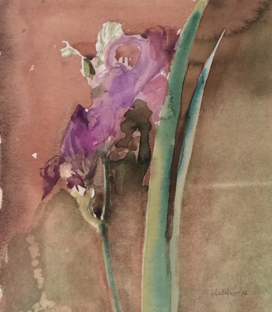 Bild Volker Schultheis | Lila Blumen