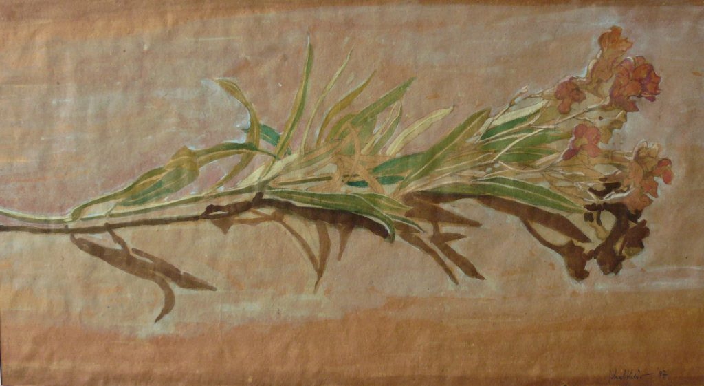 Bild Volker Schultheis | Oleanderzweig