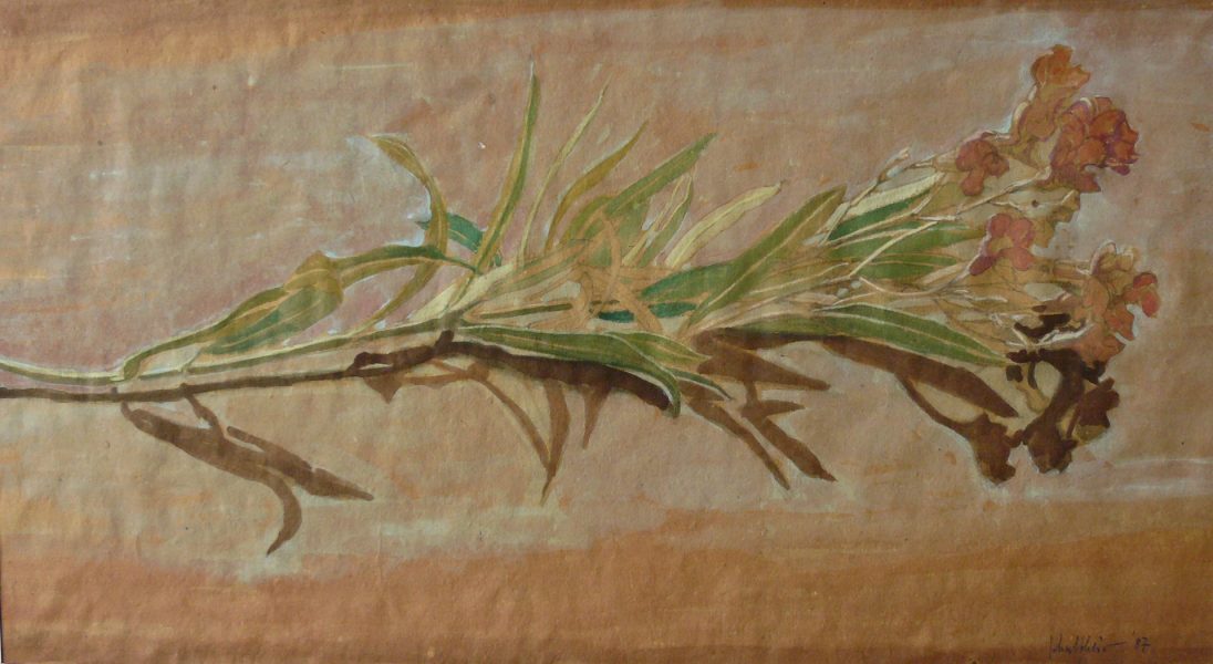 Bild Volker Schultheis | Oleanderzweig