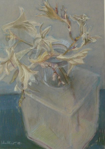 Bild Volker Schultheis | Oleander