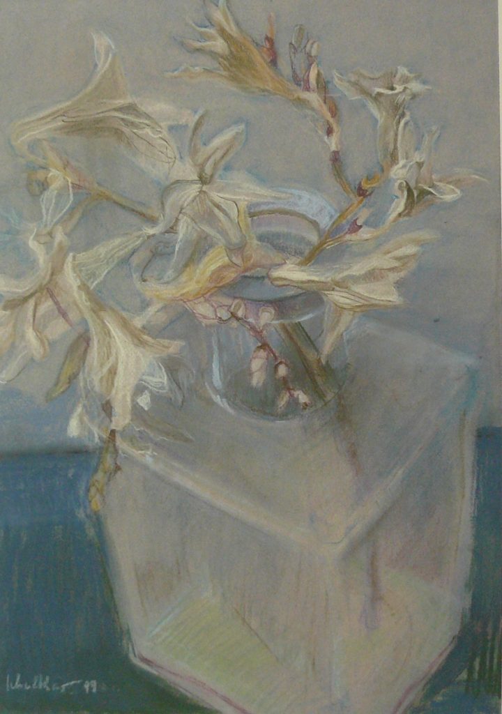 Bild Volker Schultheis | Oleander