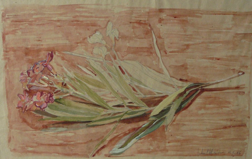 Bild Volker Schultheis | Oleanderzweig