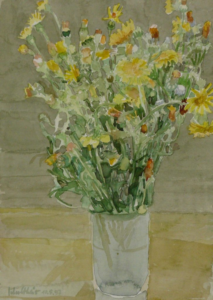 Bild Volker Schultheis | Wiesenblumen