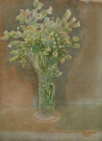 Bild Volker Schultheis | Wiesenblumen