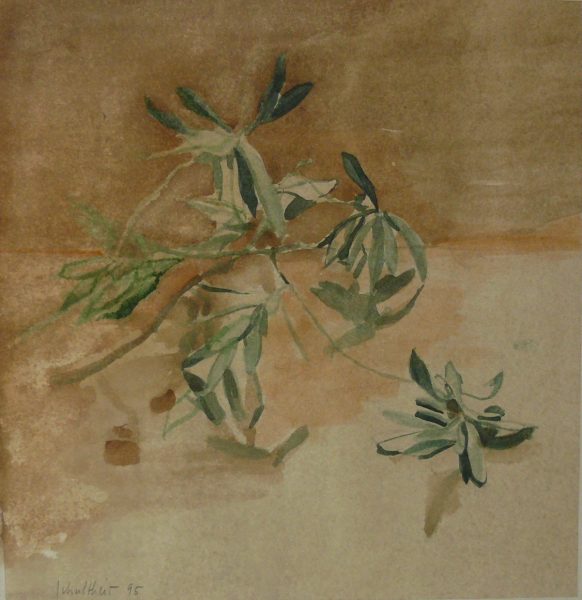 Bild Volker Schultheis | Olivenzweige