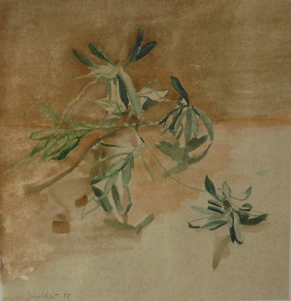 Bild Volker Schultheis | Olivenzweige