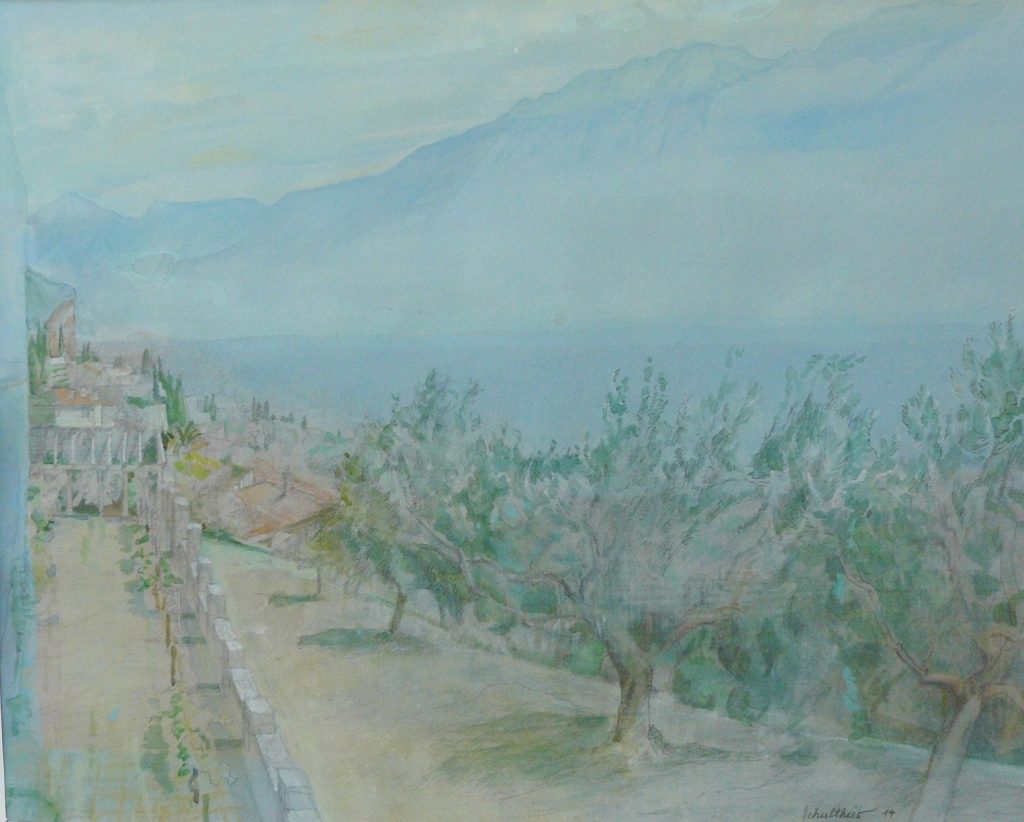 Bild Volker Schultheis | Seeblick