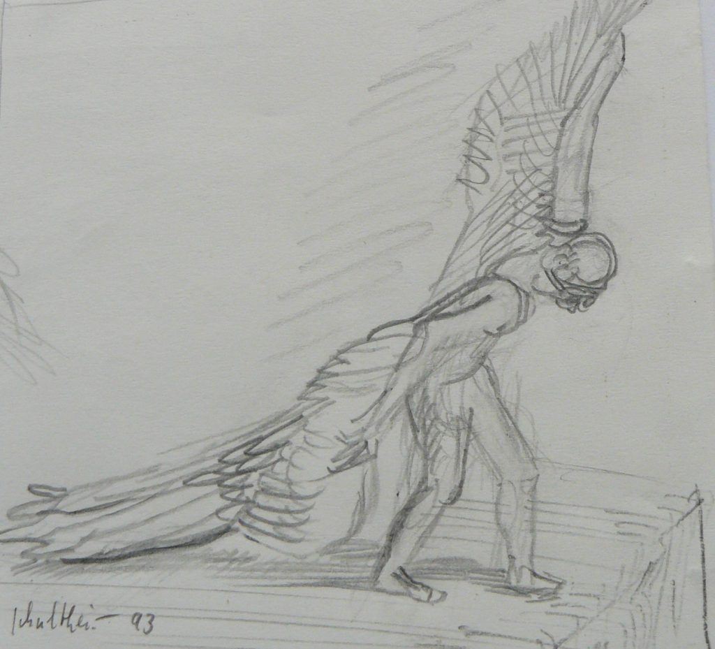 Bild Volker Schultheis | Ikarus beim Start