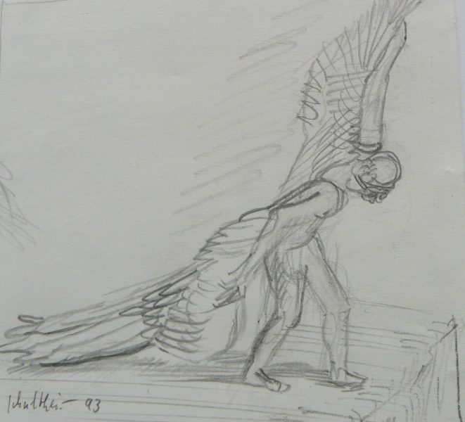 Bild Volker Schultheis | Ikarus beim Start