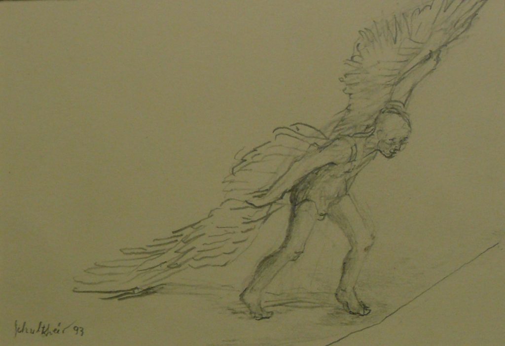 Bild Volker Schultheis | Ikarus beim Start