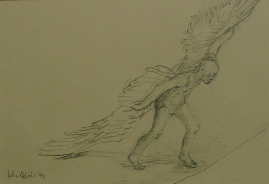 Bild Volker Schultheis | Ikarus beim Start