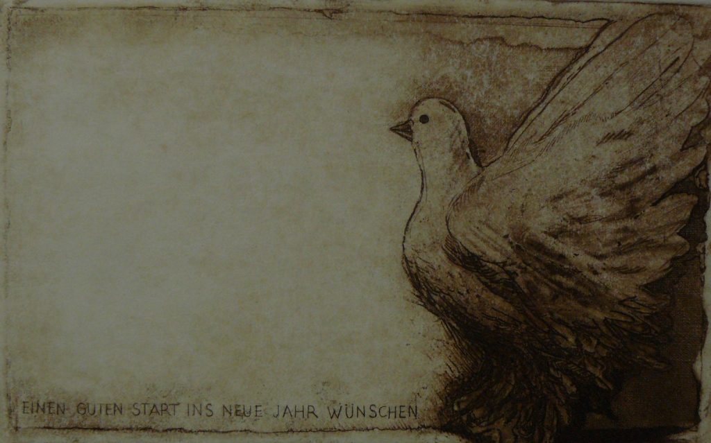 Bild Volker Schultheis | Taube Frohes neues Jahr