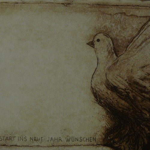 Bild Volker Schultheis | Taube Frohes neues Jahr