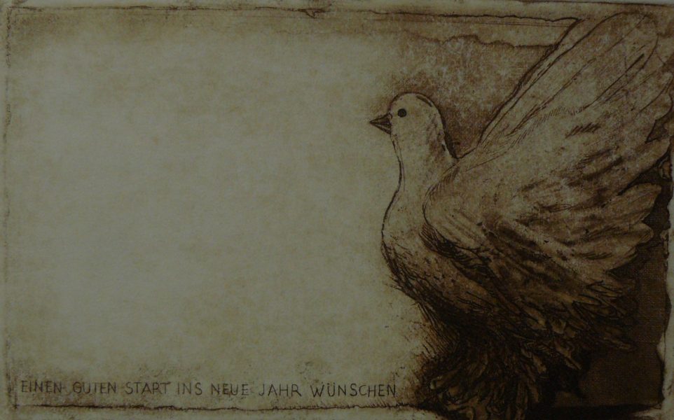 Bild Volker Schultheis | Taube Frohes neues Jahr