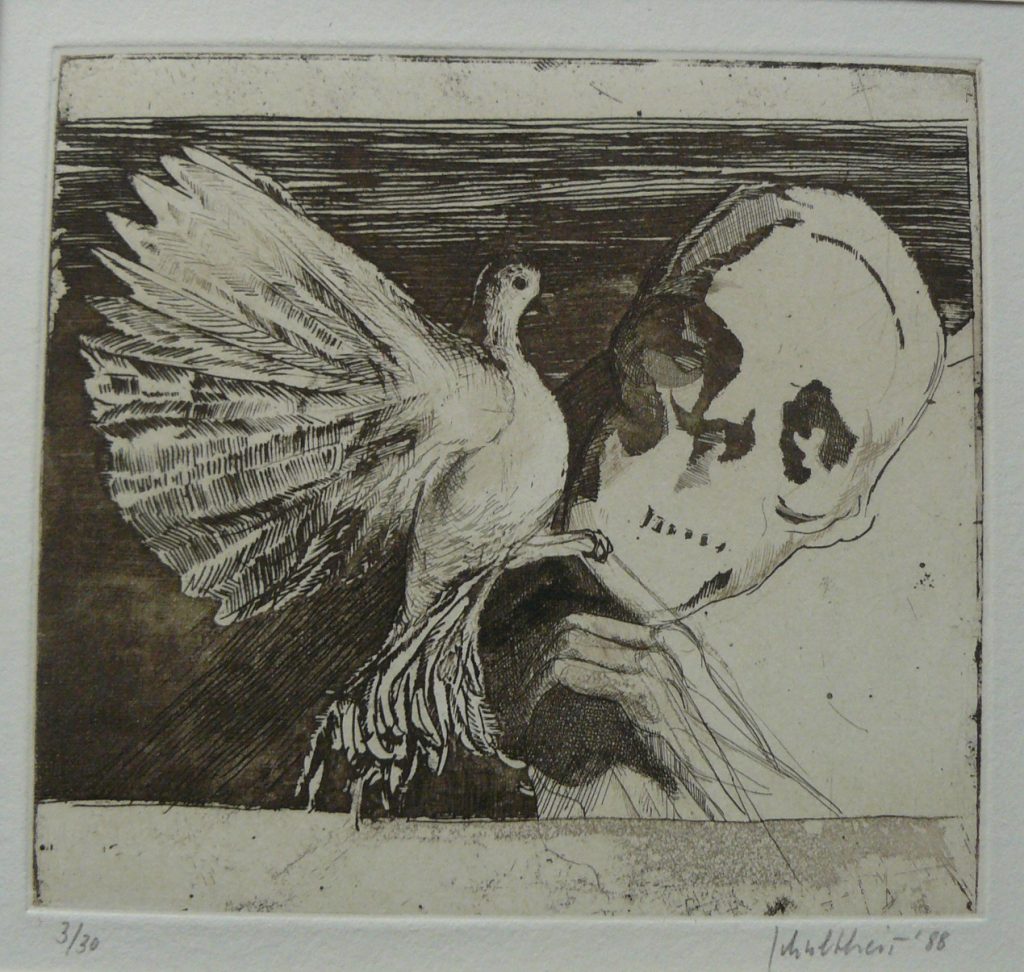 Bild Volker Schultheis | Tod und Taube