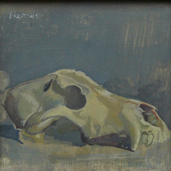 Bild Volker Schultheis | Hundeschädel