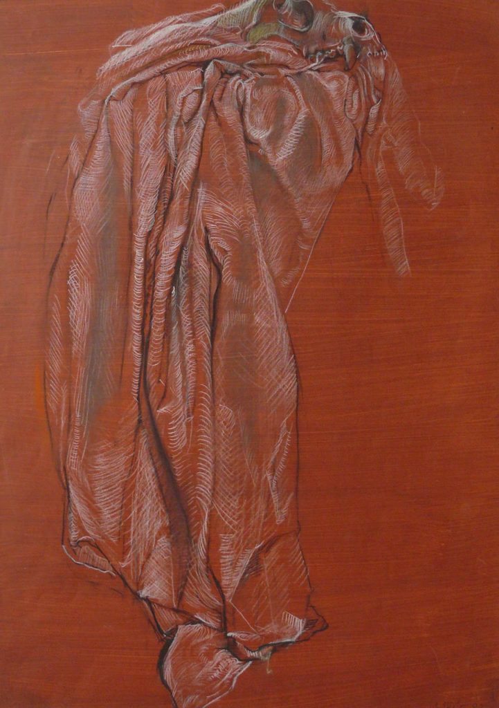 Bild Volker Schultheis | Hundeschädel auf Tuch