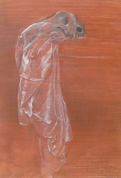 Bild Volker Schultheis | Hundeschädel auf Tuch