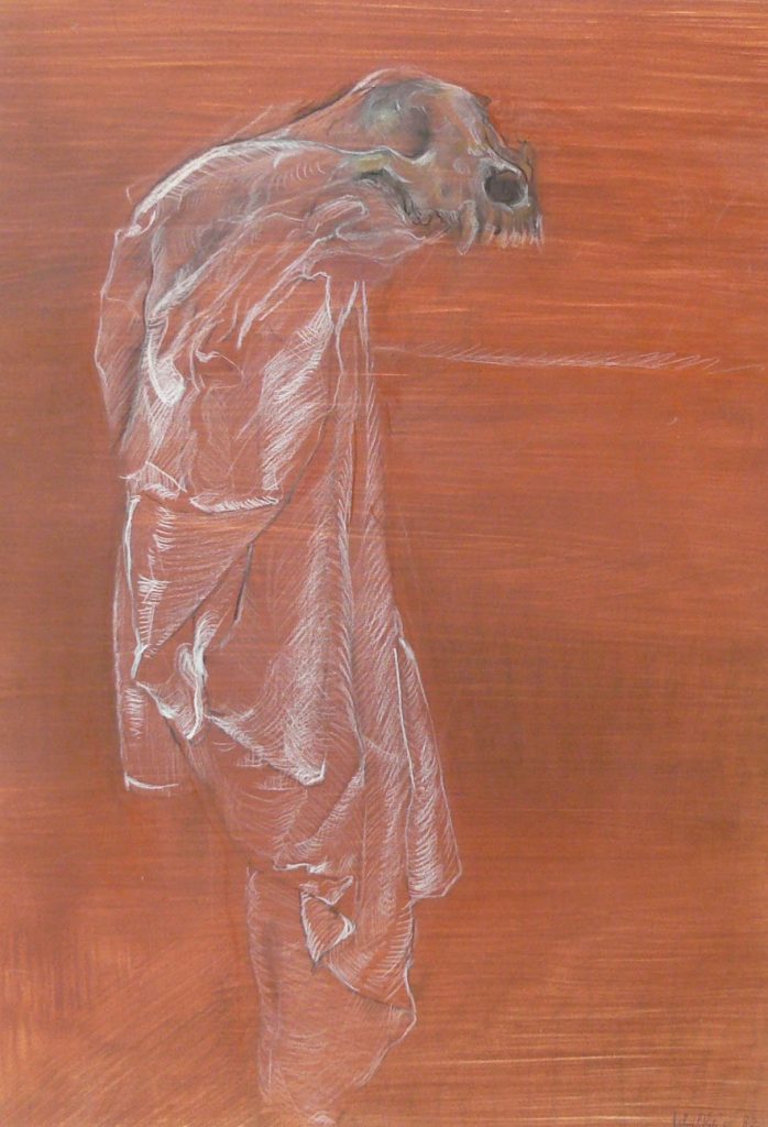 Bild Volker Schultheis | Hundeschädel auf Tuch