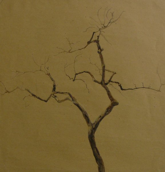 BIld Volker Schultehis | Baumskelett