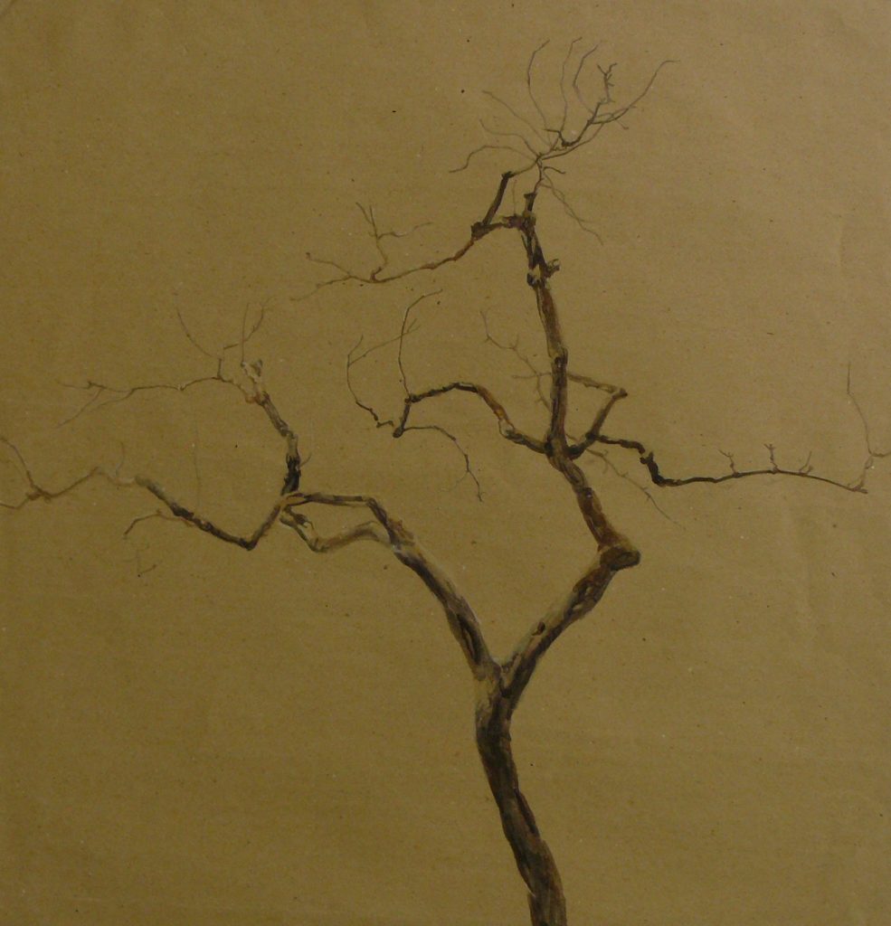 BIld Volker Schultehis | Baumskelett